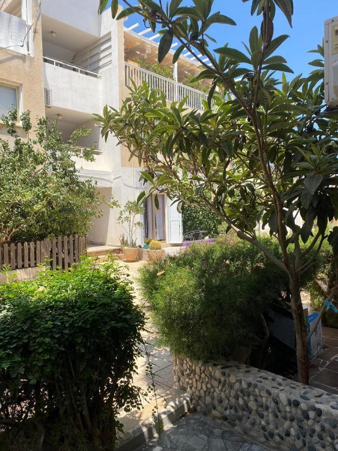 Stay With Oleg C17 Paralimni Luaran gambar
