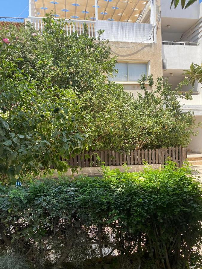 Stay With Oleg C17 Paralimni Luaran gambar